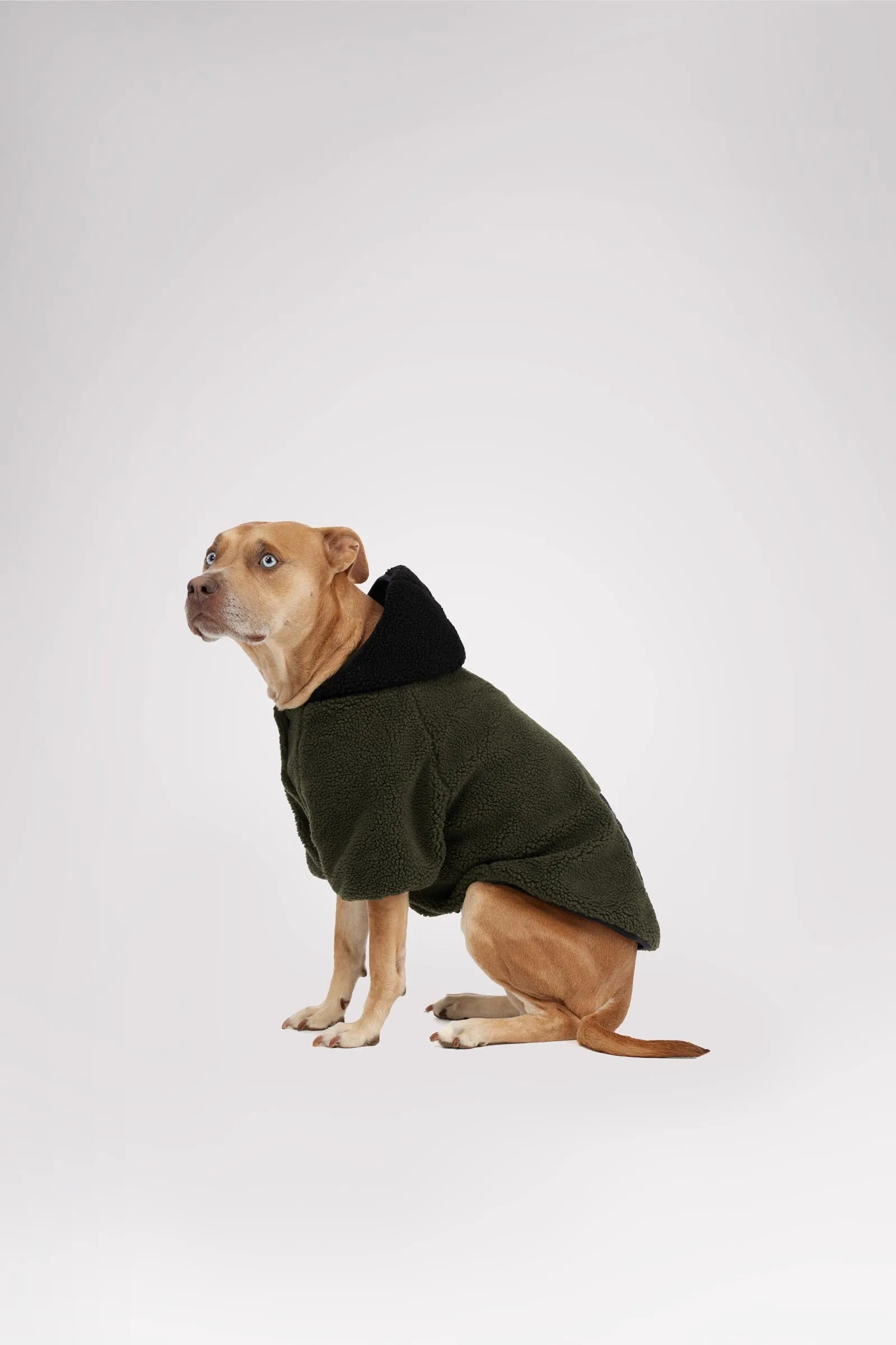 Max Jacket w/Hood for Dogs