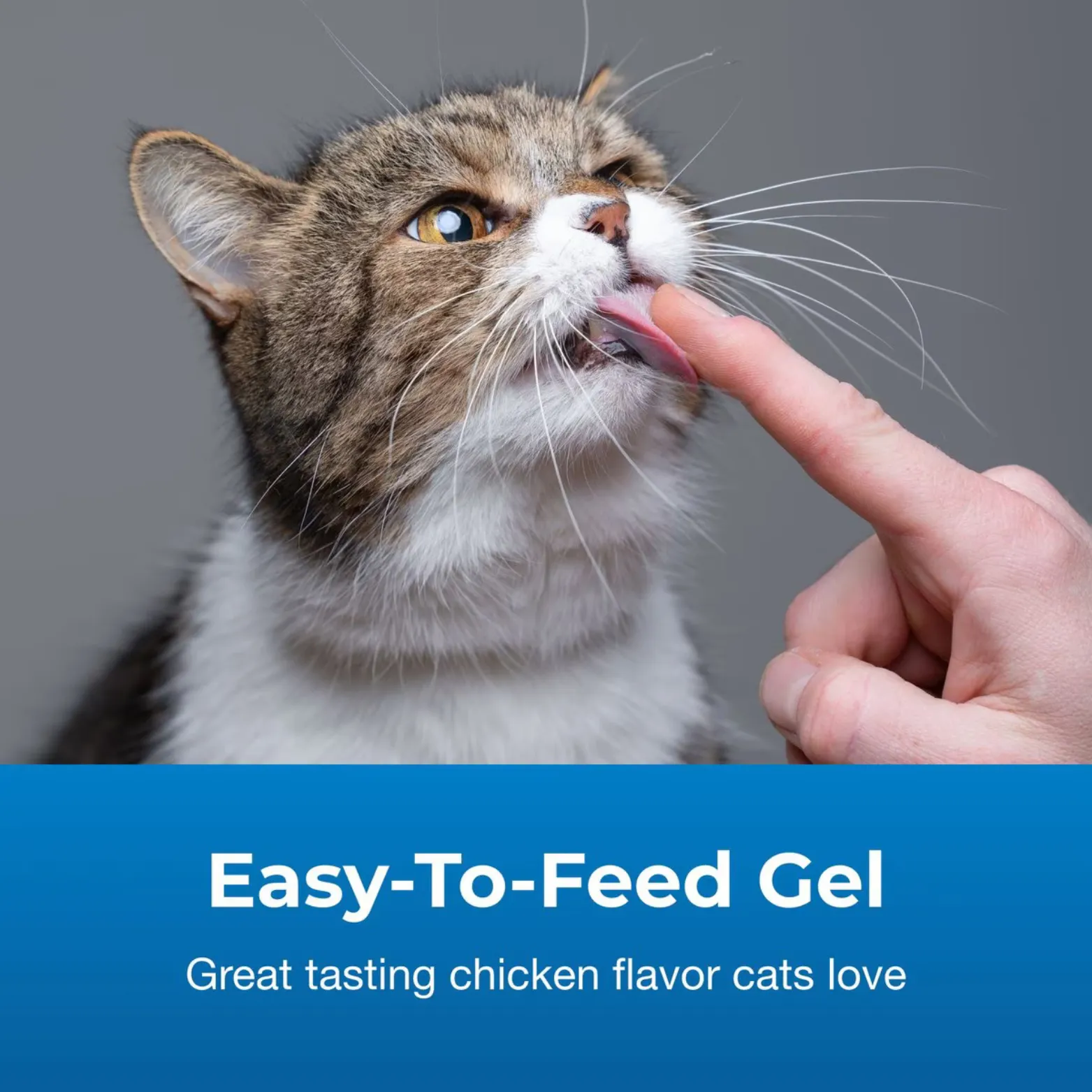 PetAg® High Calorie Gel for Cats 3.5oz