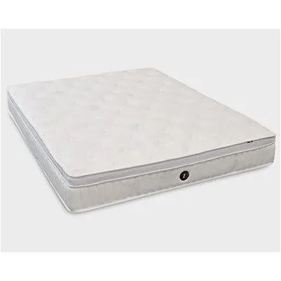 Sofzsleep Chiro Latex Mattress - H24cm