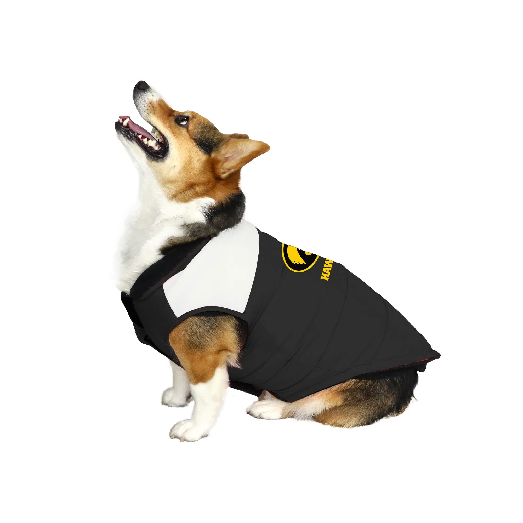 University of Iowa Pet Parka Puff Vest