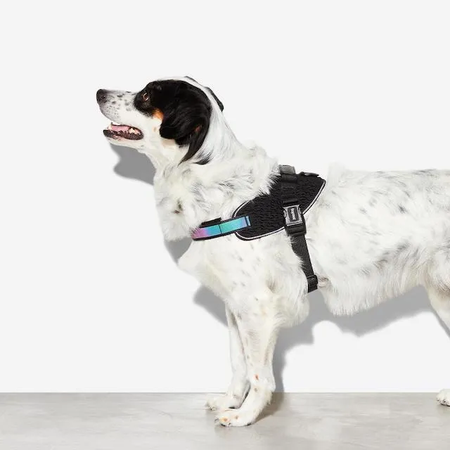 Zee.Dog Gotham Dog Fly-Harness